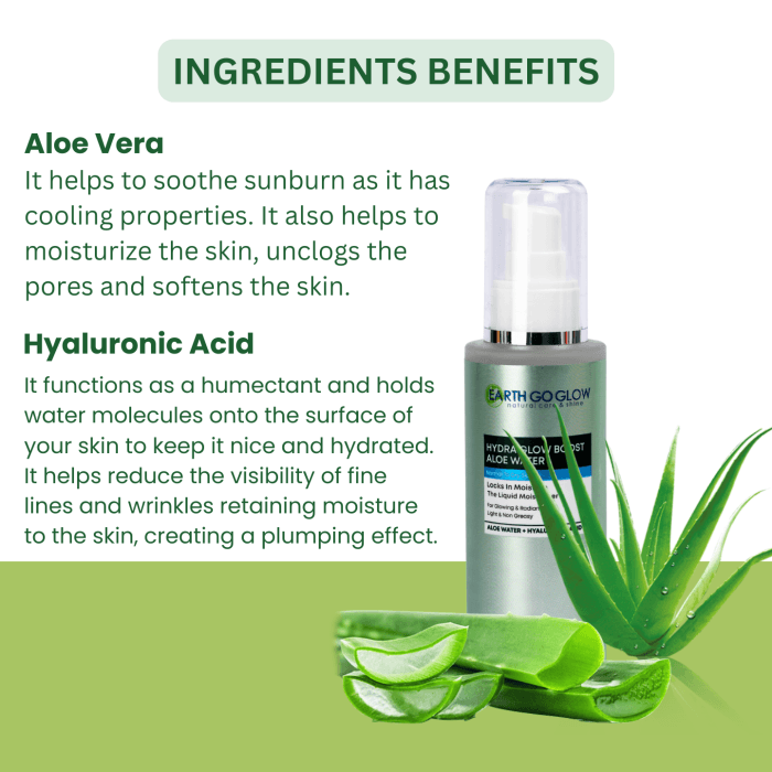 Ingredients Benefits of Aloe Moisturizer